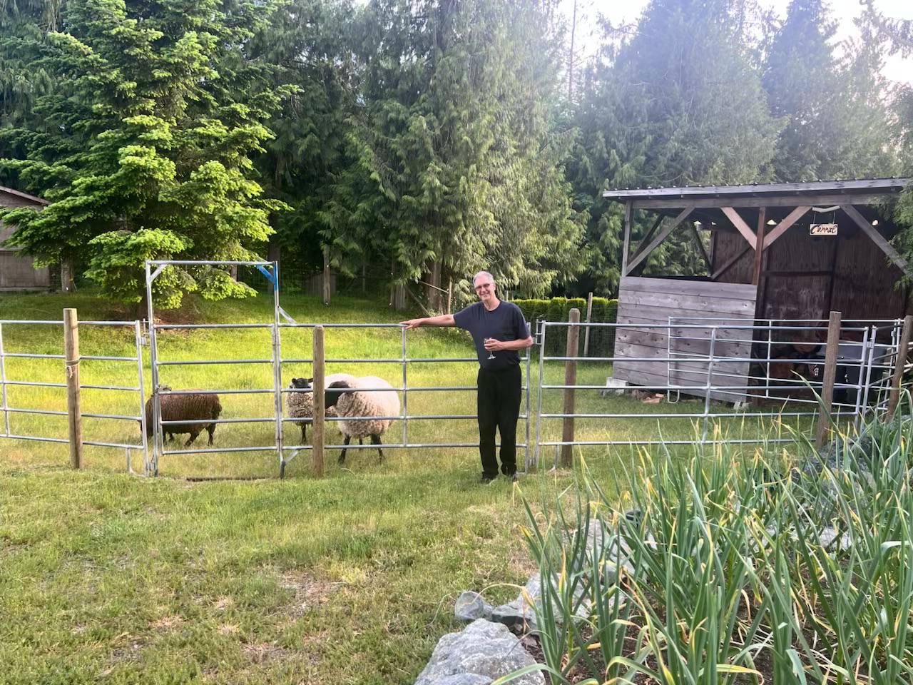 The flock and woolery at Blue Rock Ranch
